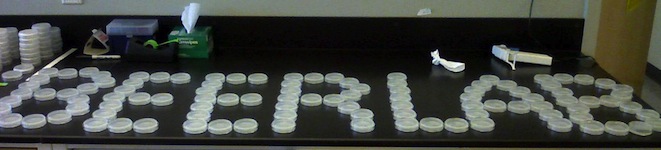 Beer lab plate art.jpg